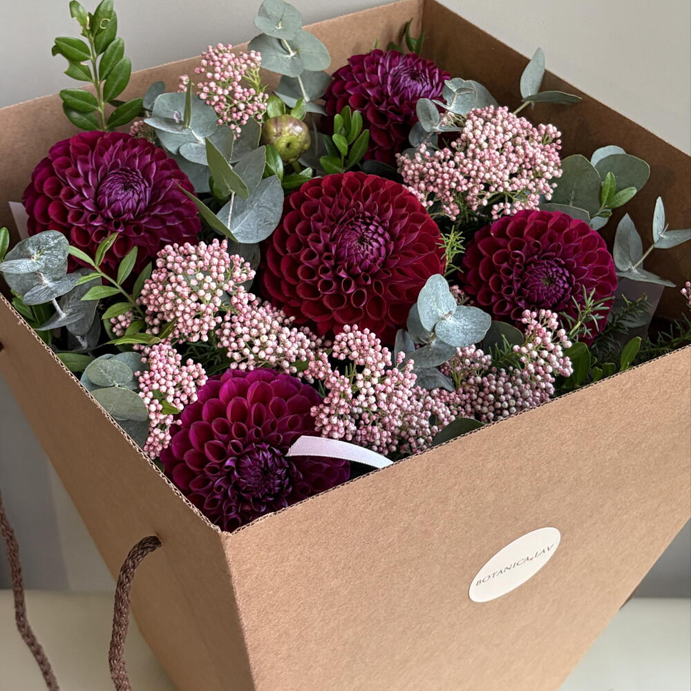 Георгины, Озотамнус и эвкалипт, композиция в подарочной коробке 💜