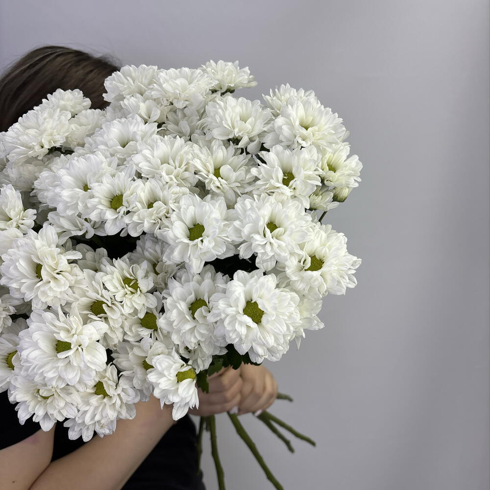 Акция! 7 белых ромашек