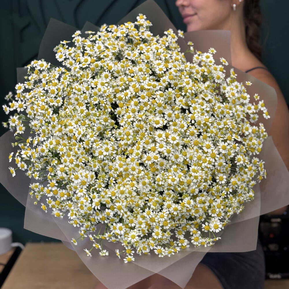 Роза