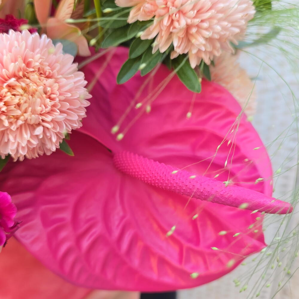 Pink mood (пионовидные розы, гвоздики, астры, антуриум в бархатной коробке)