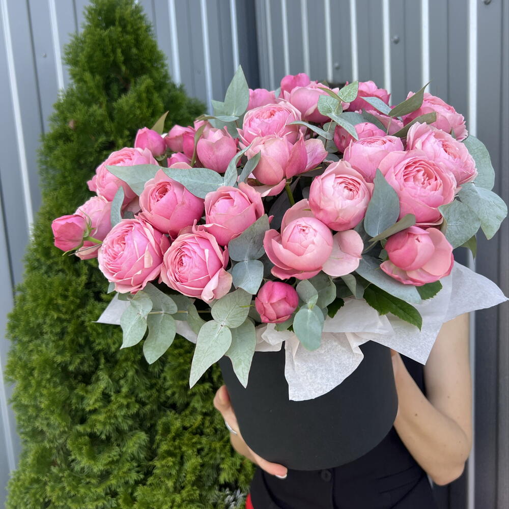 Сильва 🌹