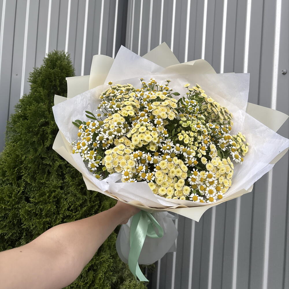 Полевой букет 💛