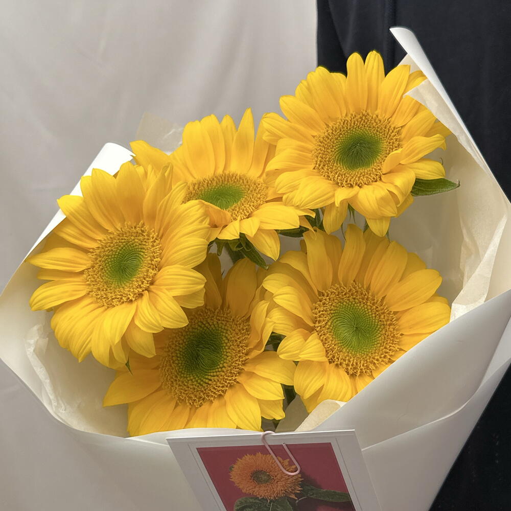 Подсолнухи 🌻