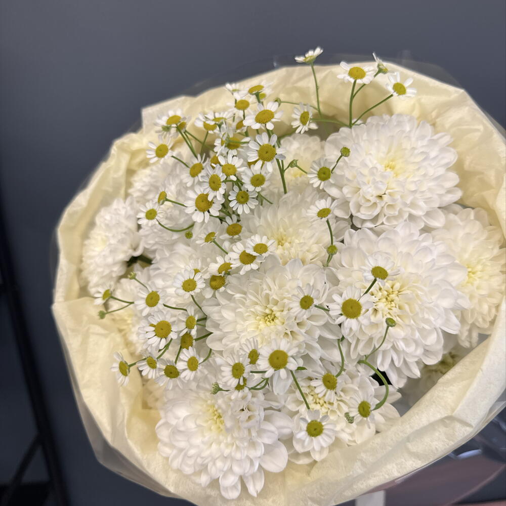 Ромашка и хризантема 🌸💗