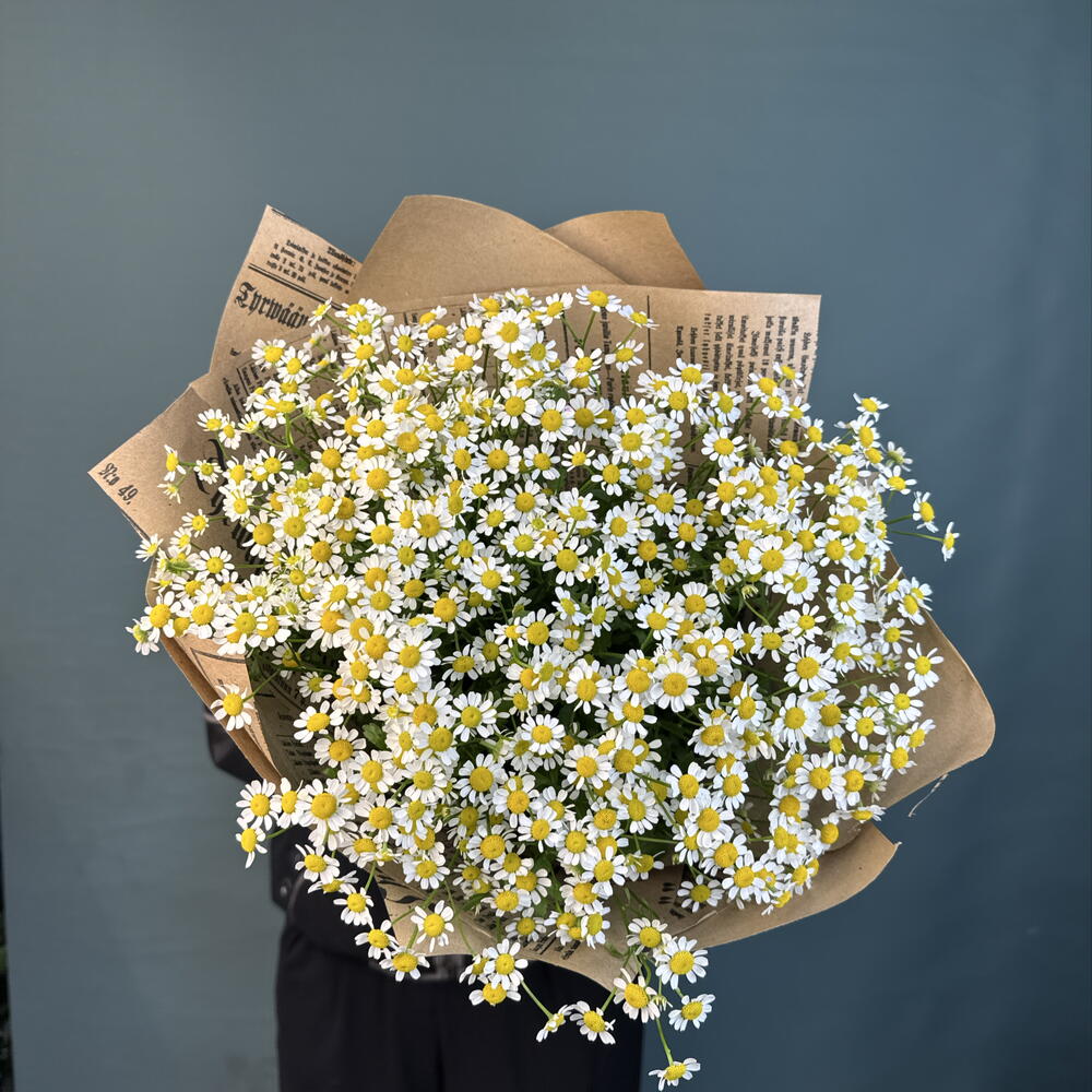 Монобукет из 15 кустовых ромашек 🌼