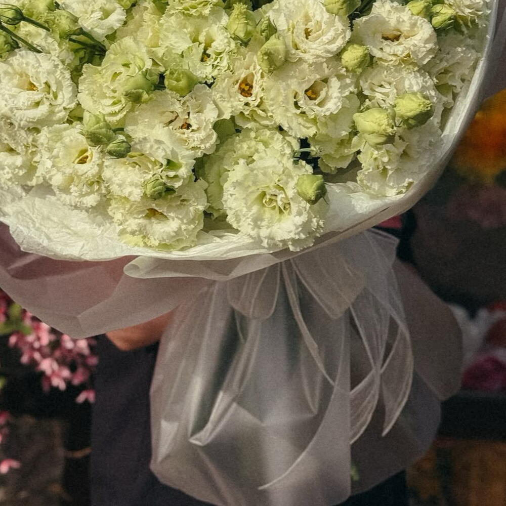 White Eustoma🤍