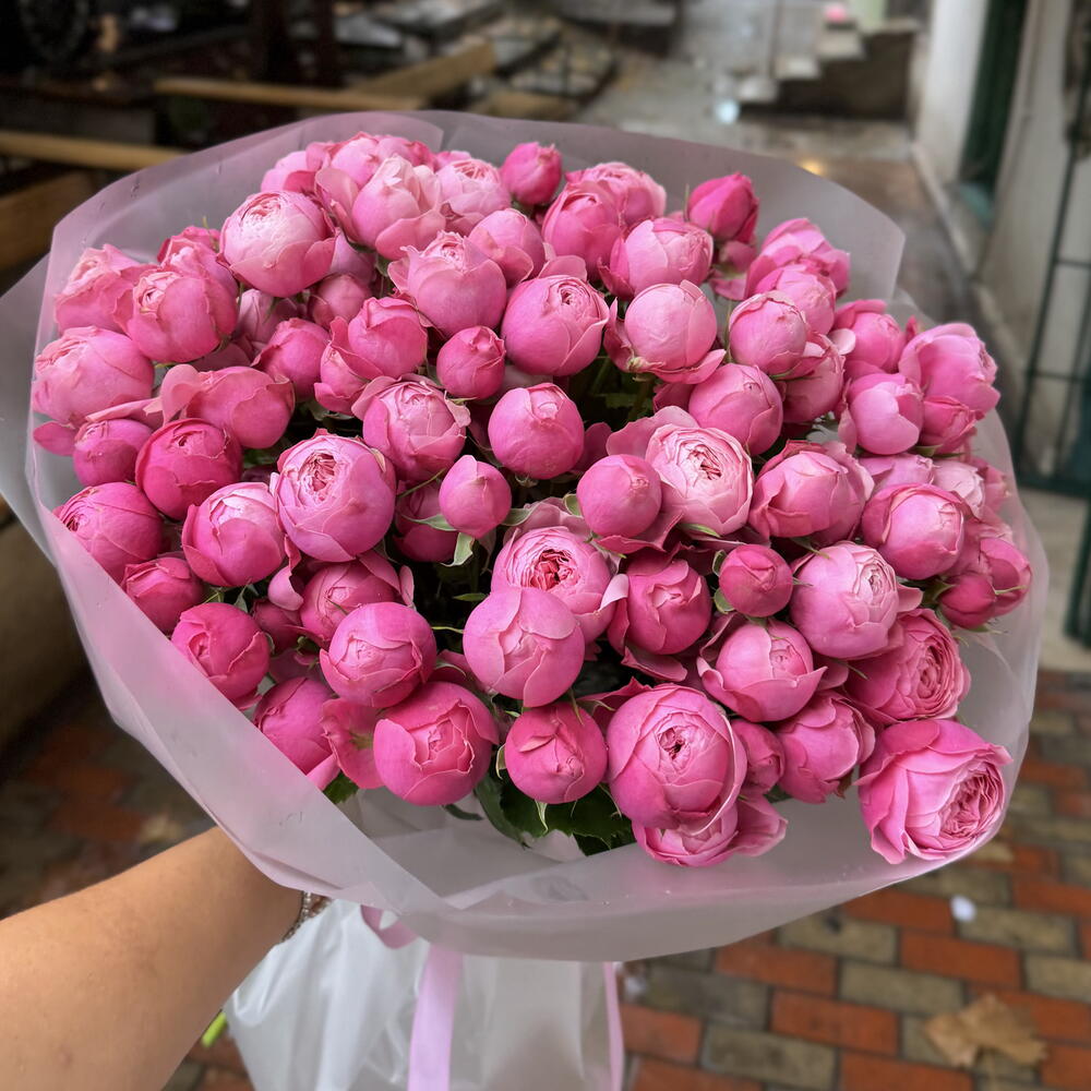 Rose Silva Pink