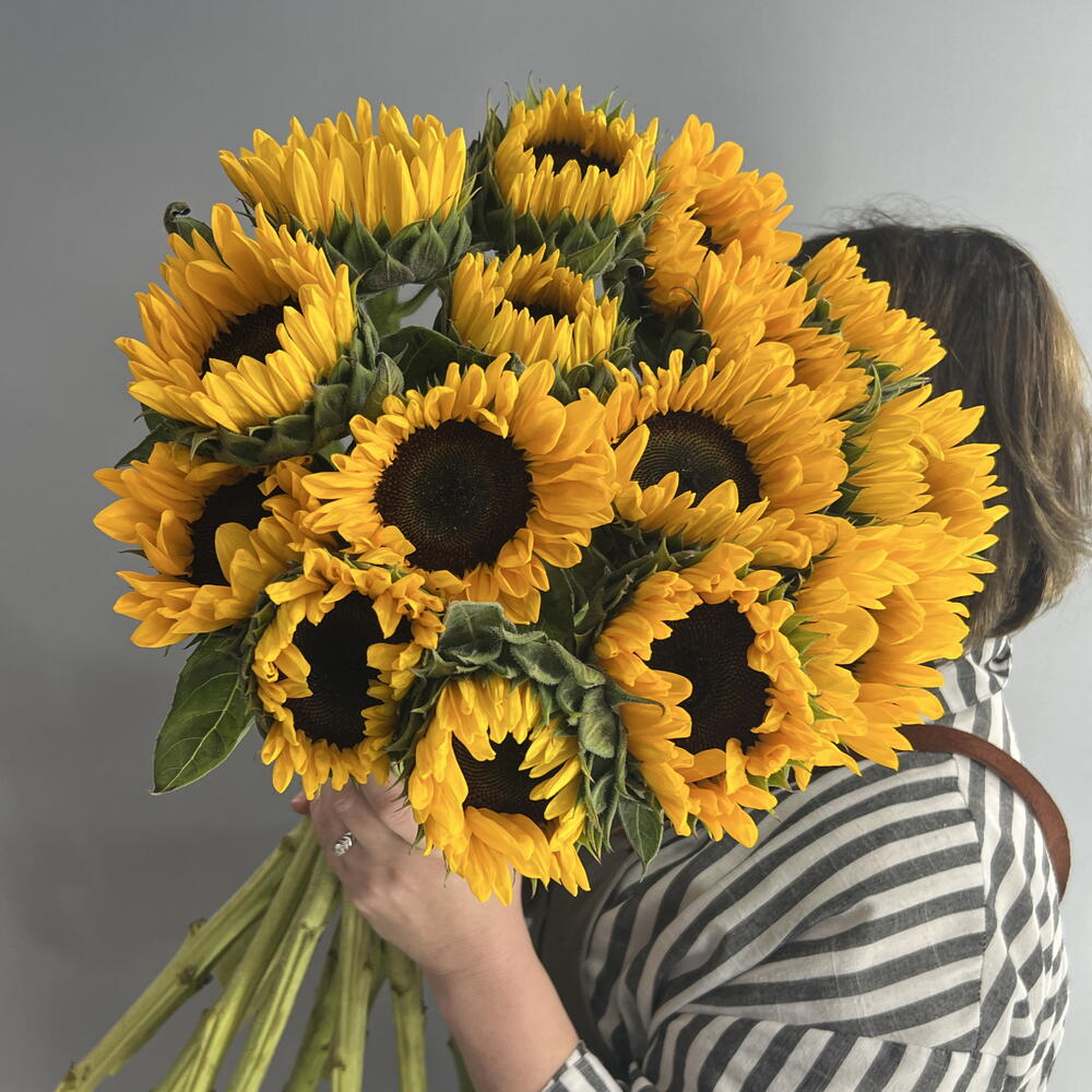 Монобукет 💛 солнечные подсолнухи 🌻🌻🌻 15 шт