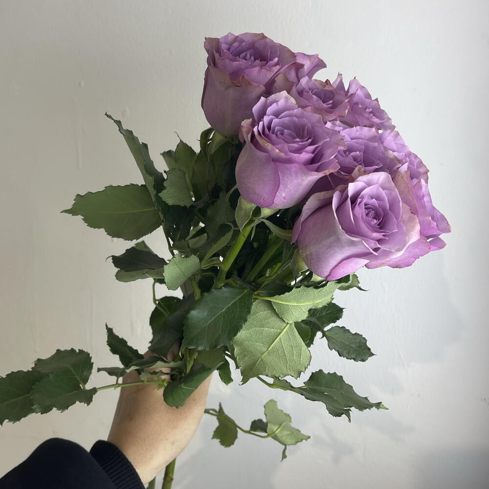 Розы фиолетовые 💜 9
