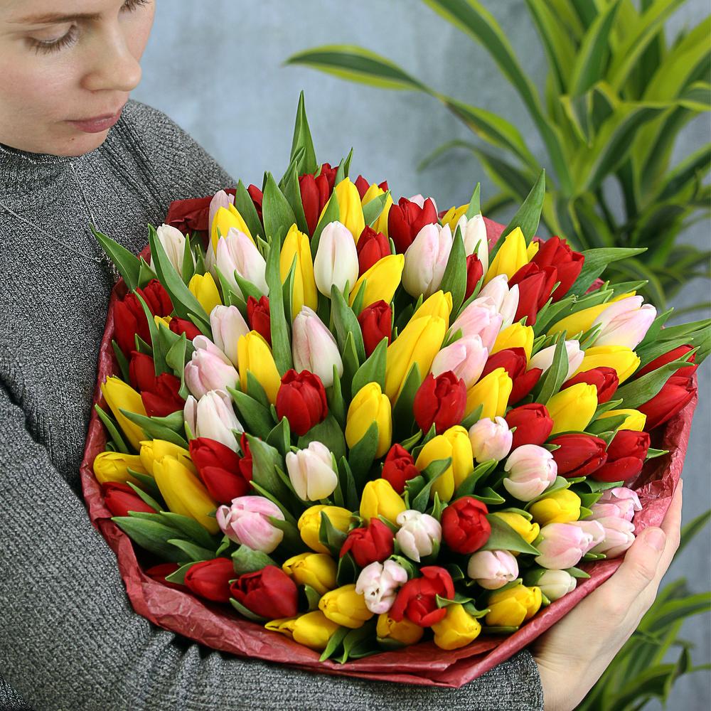 101 тюльпан микс