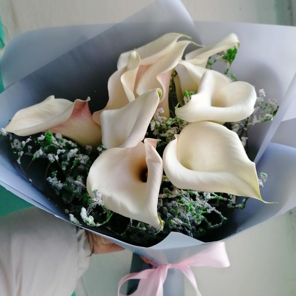 Каллы