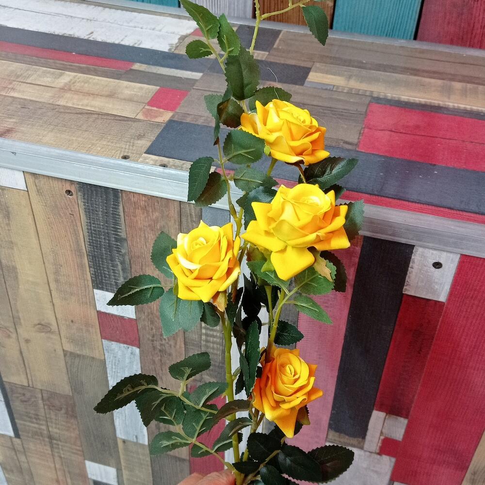 Роза кустовая