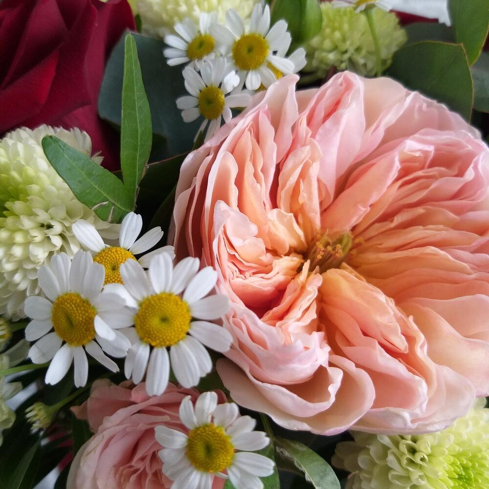 Amour fleur