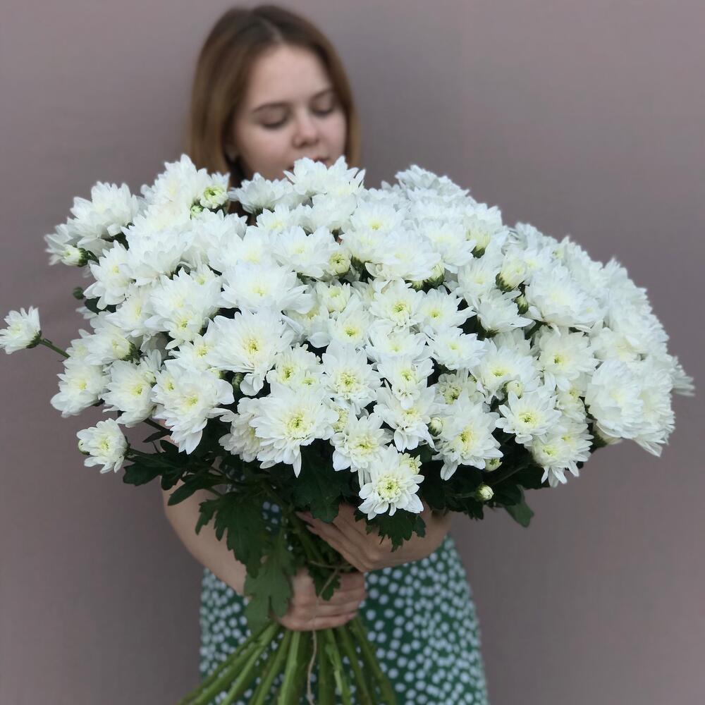 Хризантема белая 25 шт