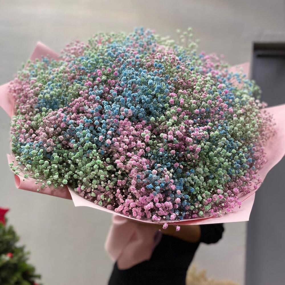 Гипсофила WOW 🤩