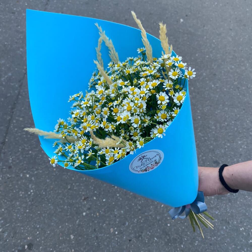 Букет Ромашки на лугу