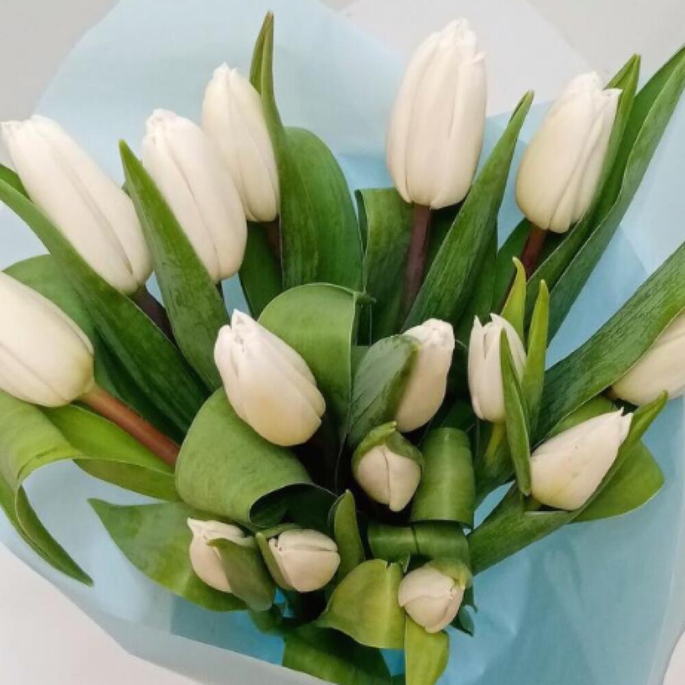 Bouquet of white tulips