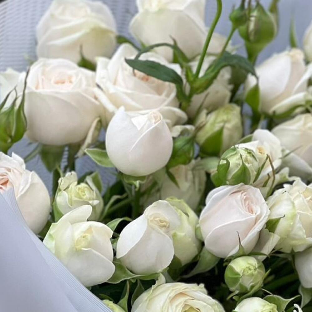 Эксклюзив сенсейшен