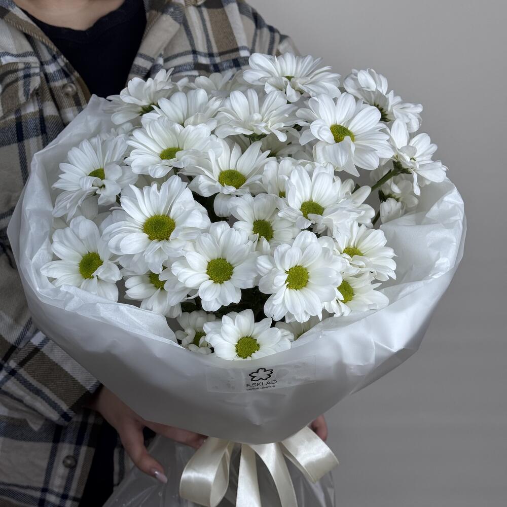 Мини ромашки Хризантема Кеннеди