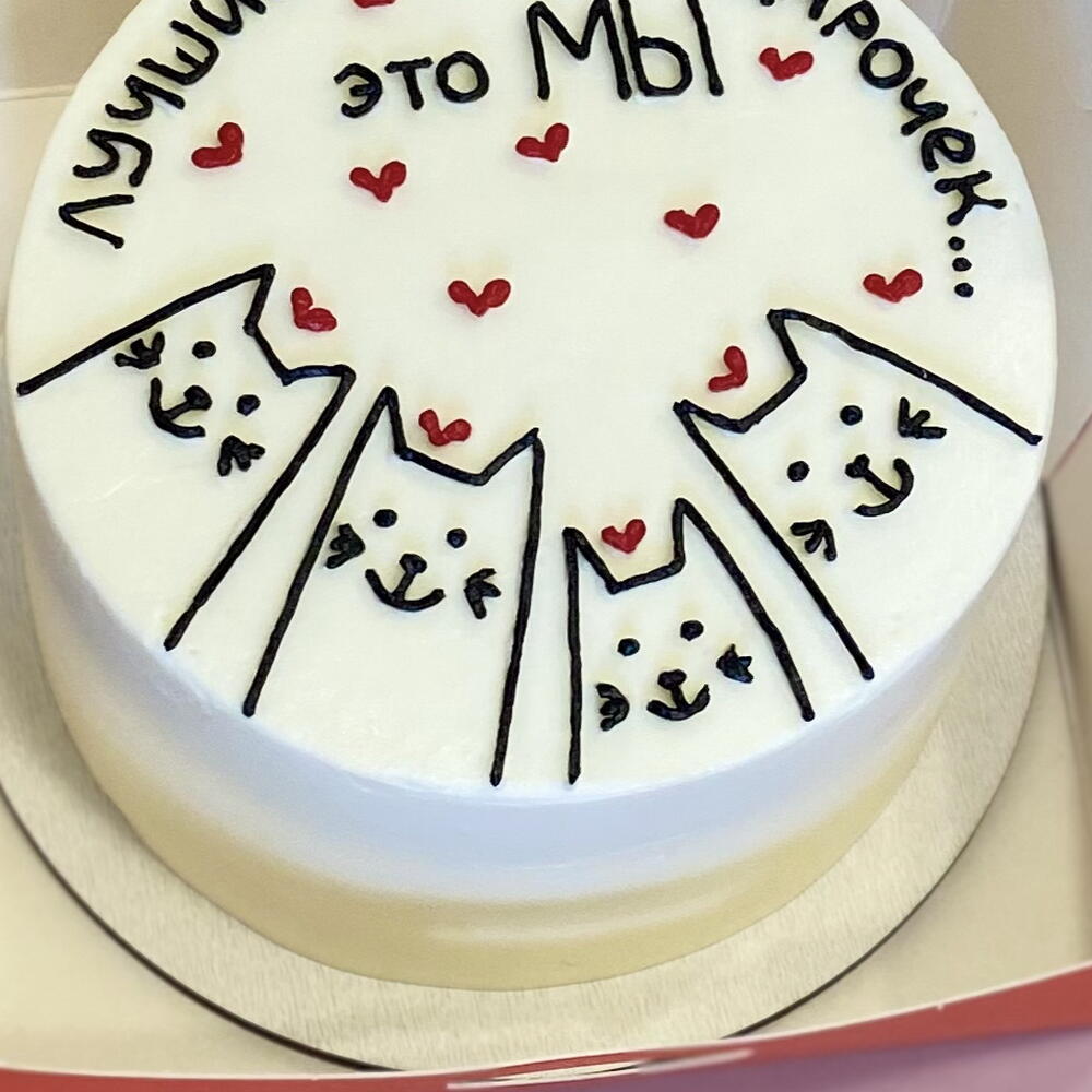 Бенто с котиками подарок