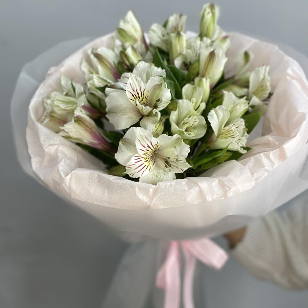 Альстромерия белая