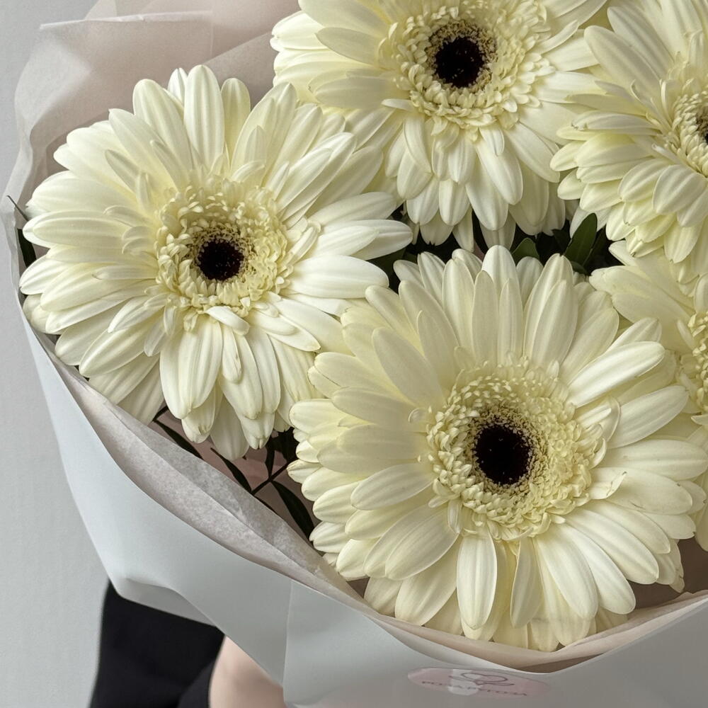 Букет-комплимент из белых Гербер 🌼🤍