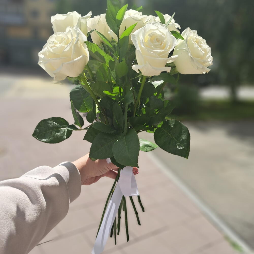 7 белых роз сорта Венделла