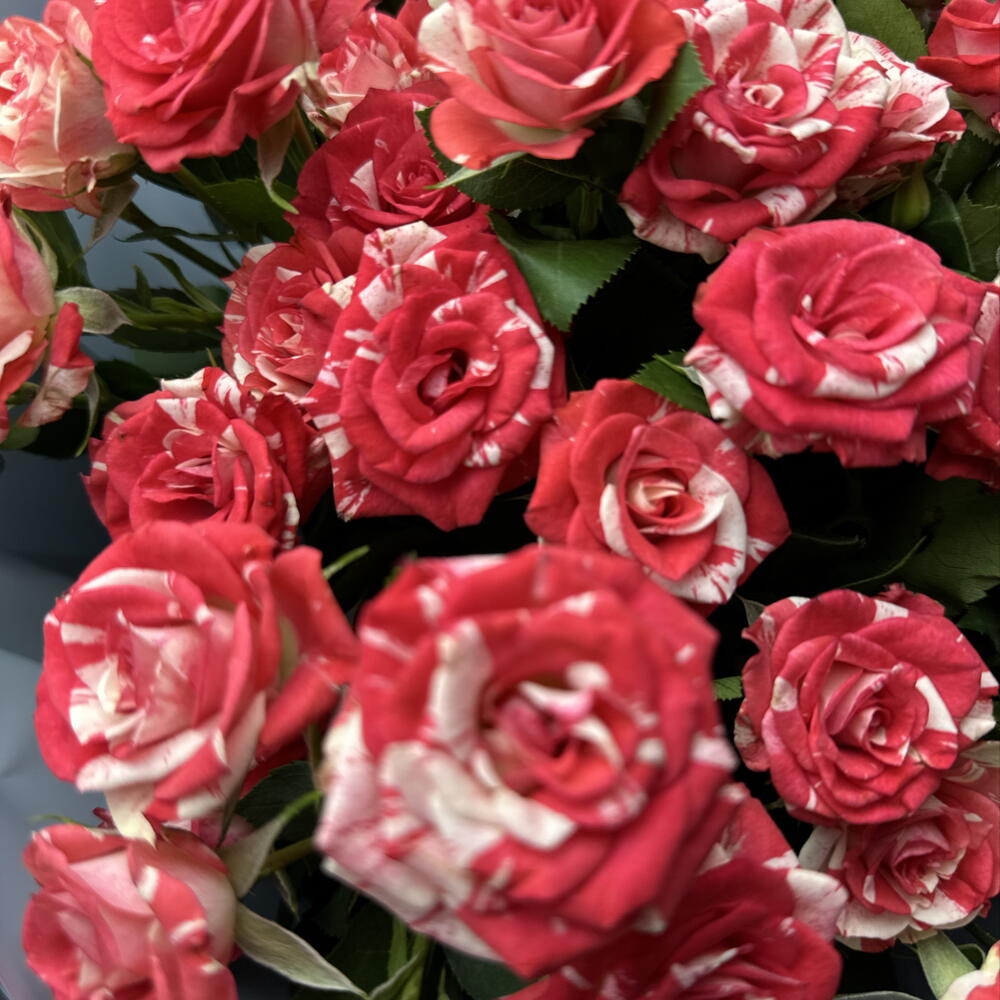 - Кустовых роз букет 💐