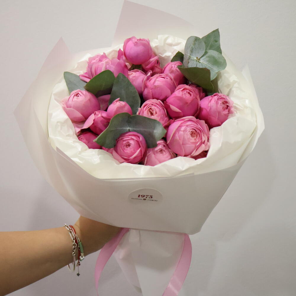 Spray rosess