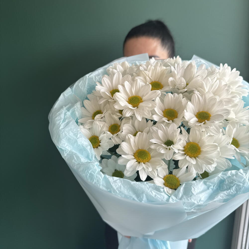 Ромашки
