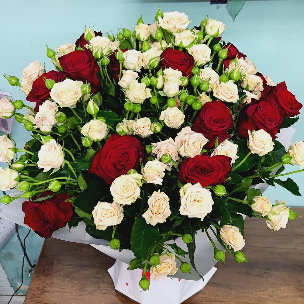 Rose Cream Red