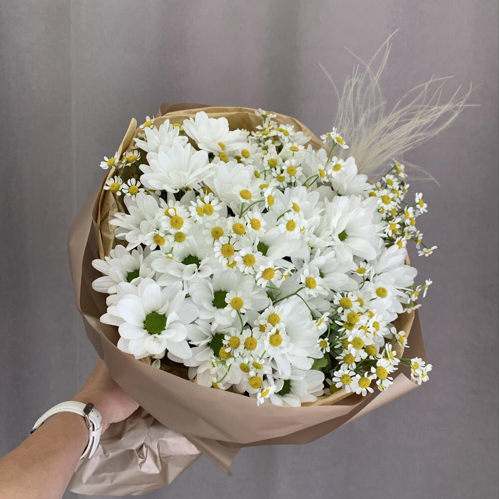 Ромашки