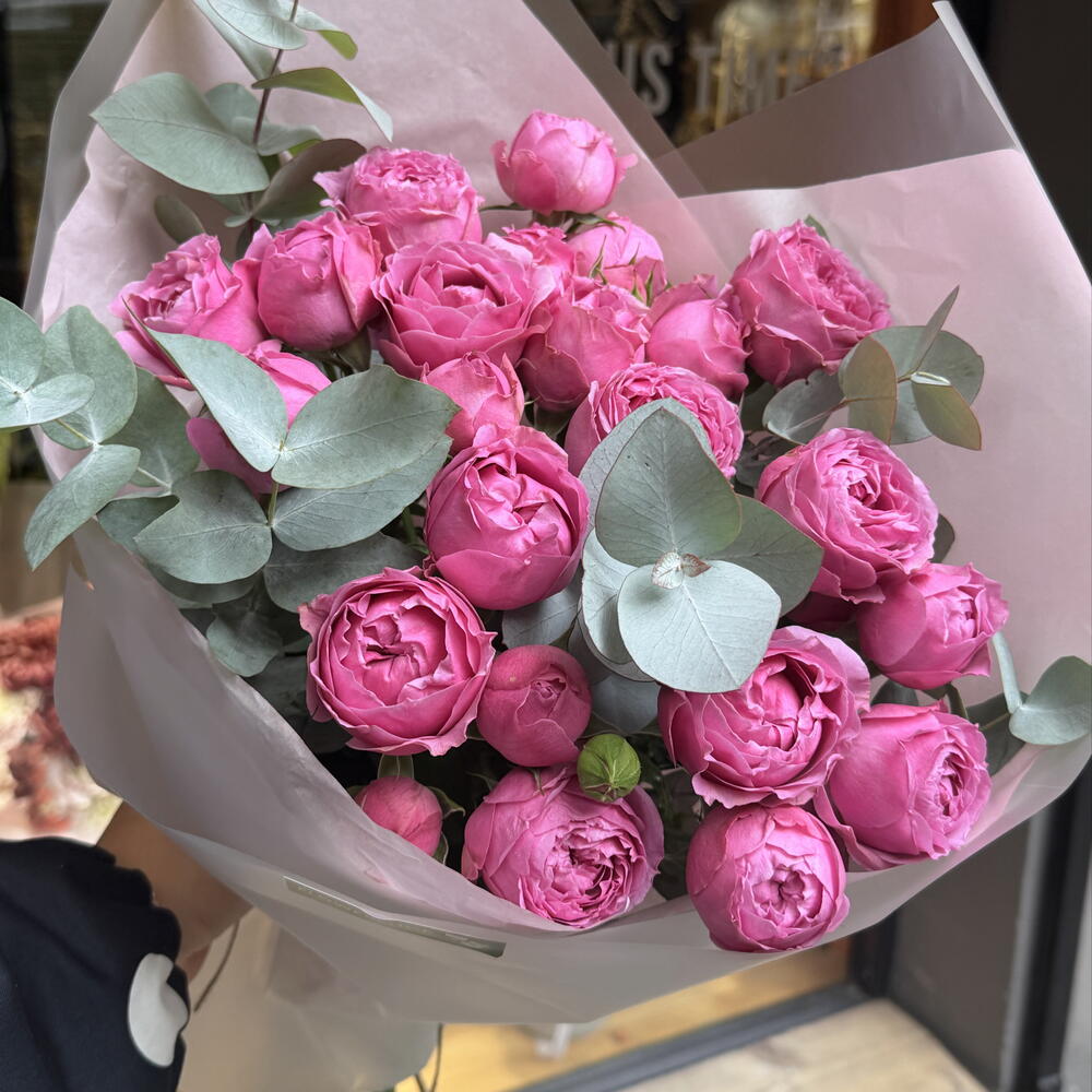 Misty Bubble roses