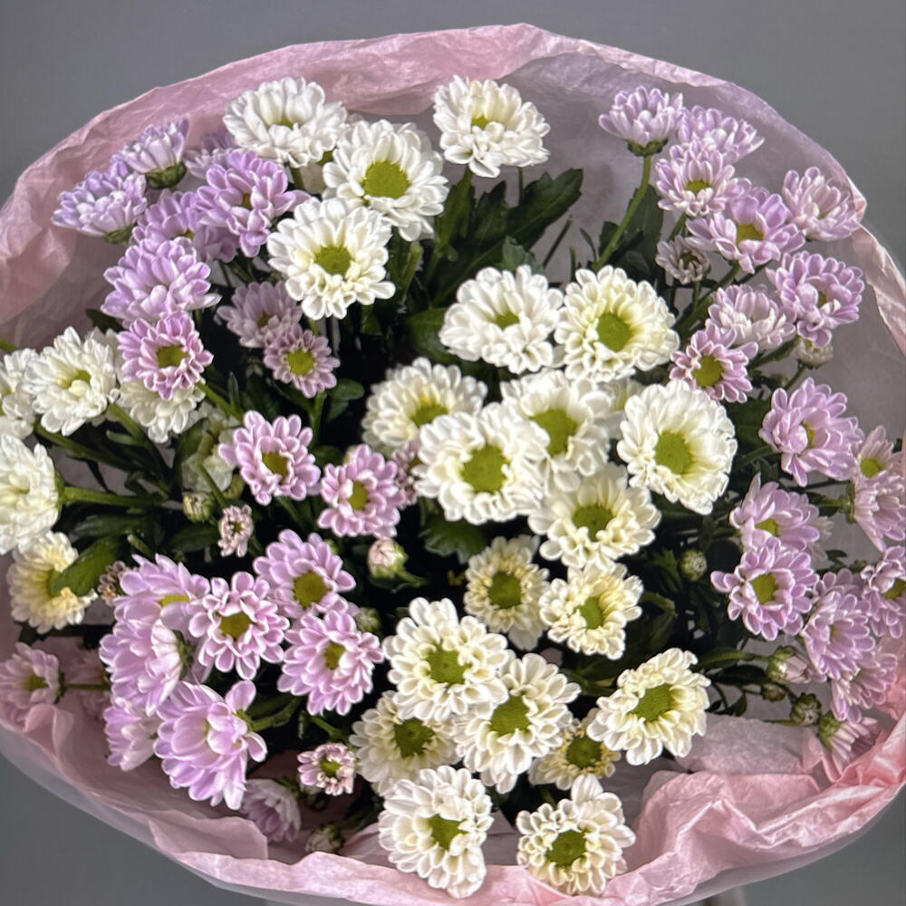 Дуо букет из белых и розовых сантини (49-0508)