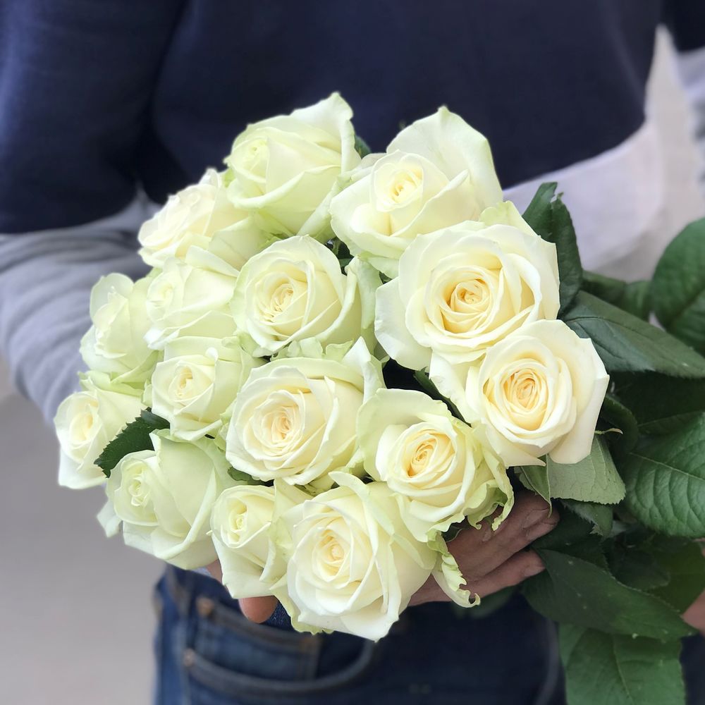 Белая роза Аваланж 50 см