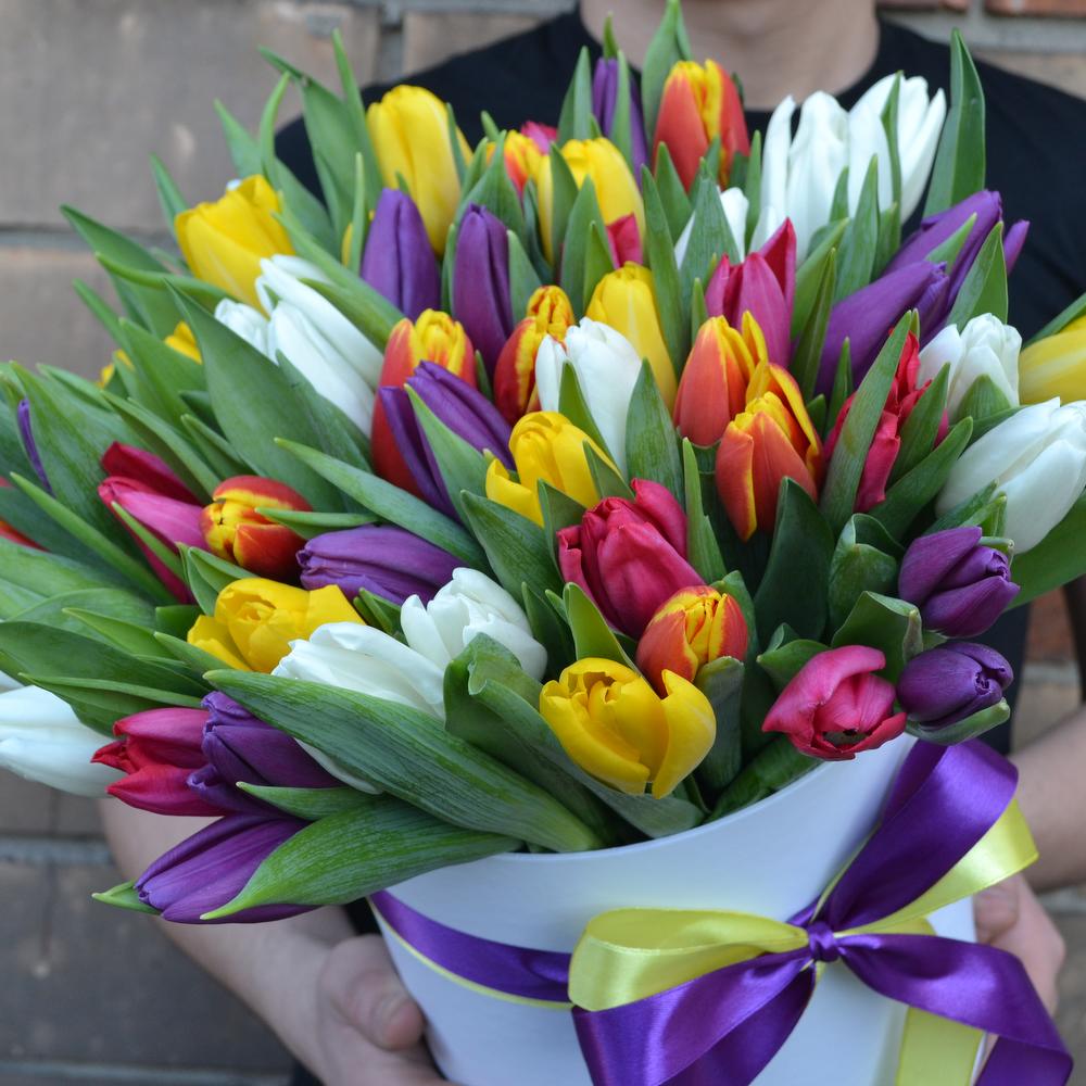 51 микс тюльпан