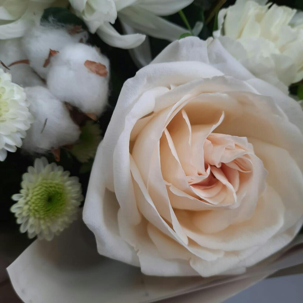 БукетTenderness