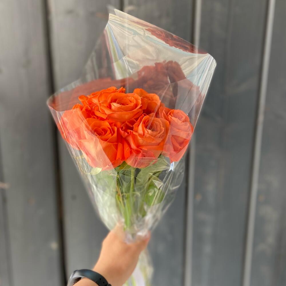 Red roses