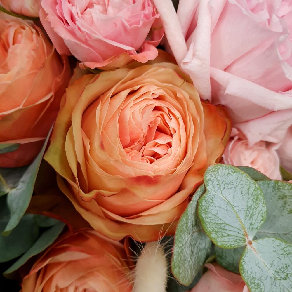 Beauty Roses в крафте