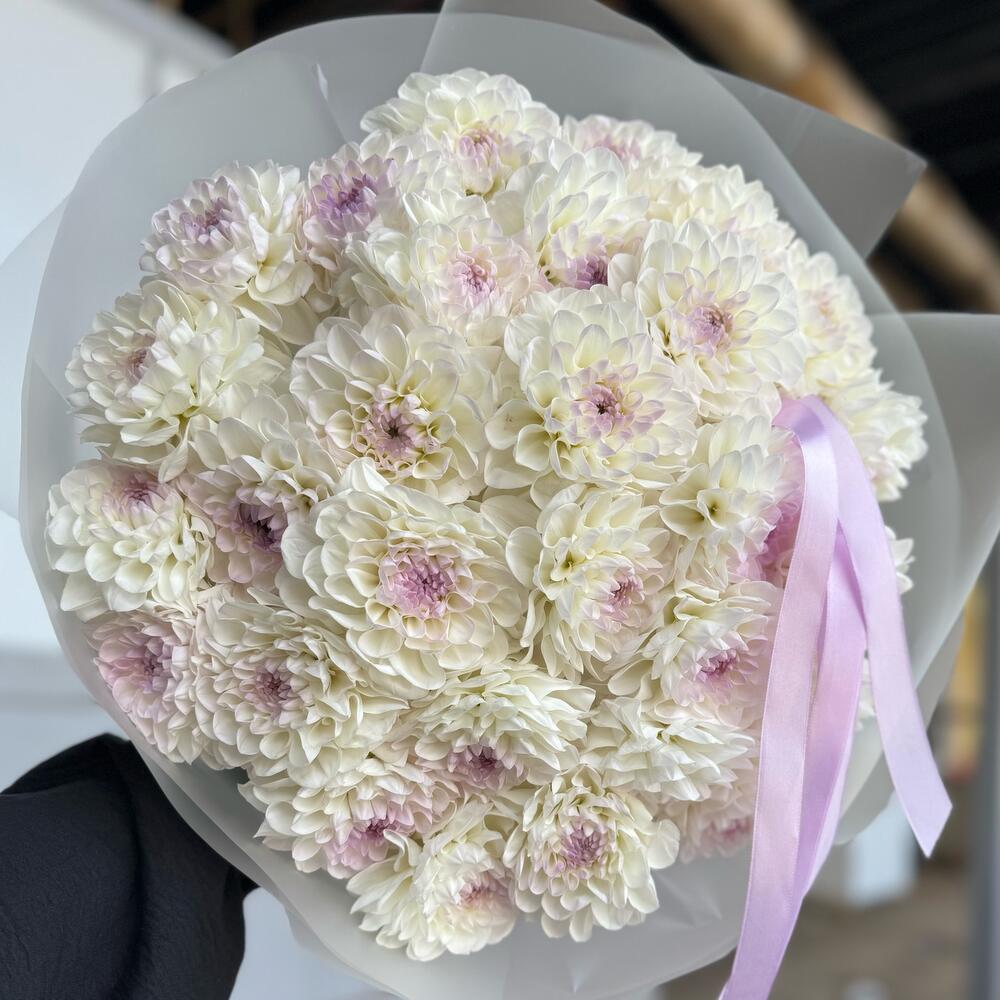 Георгины 29шт