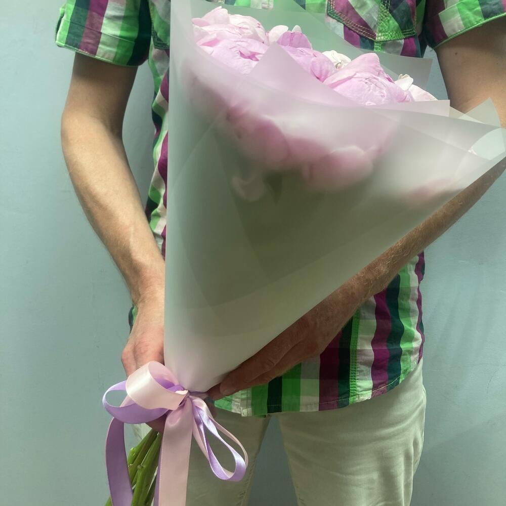Пионы Голландия