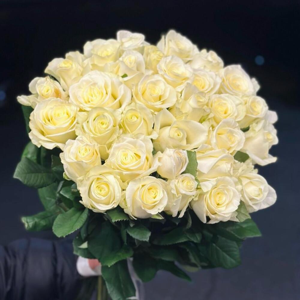 Rose bianche di lusso 31pcs 80cm