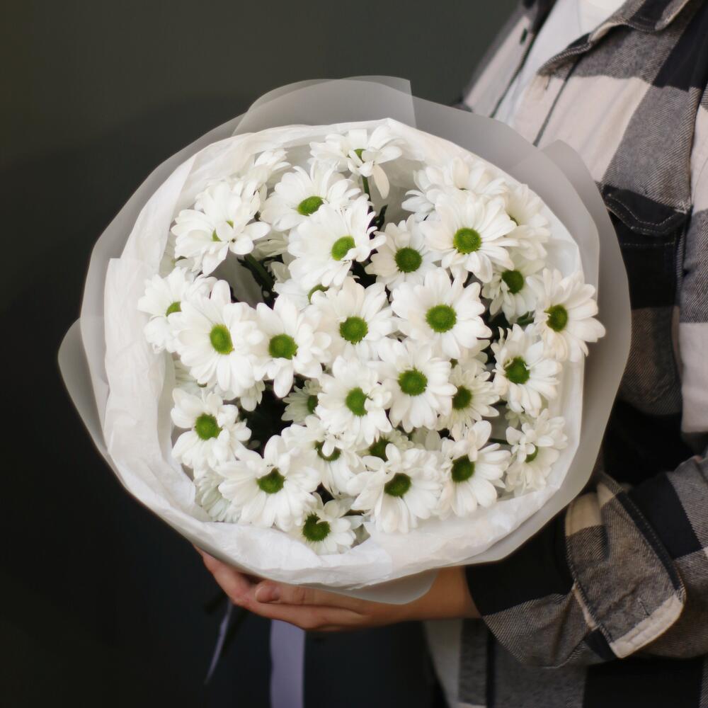 Ромашковые кустовые хризантемы