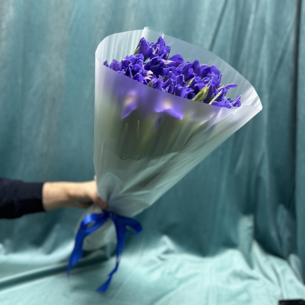 Ирисы Blue  Magic💙💙💙