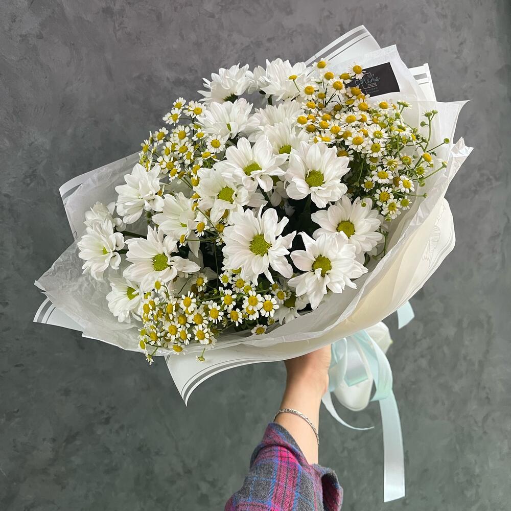 Daisies and gypsophila