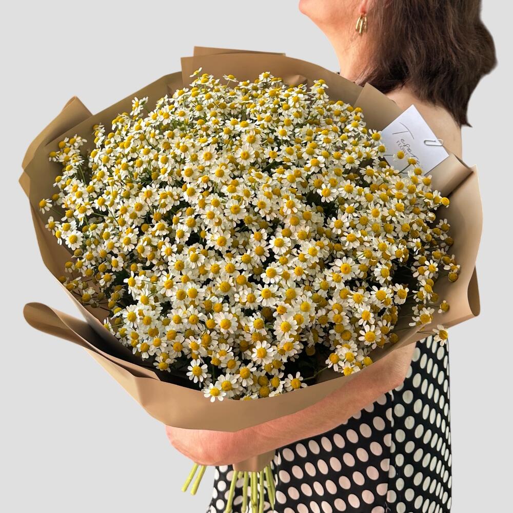 Ромашки