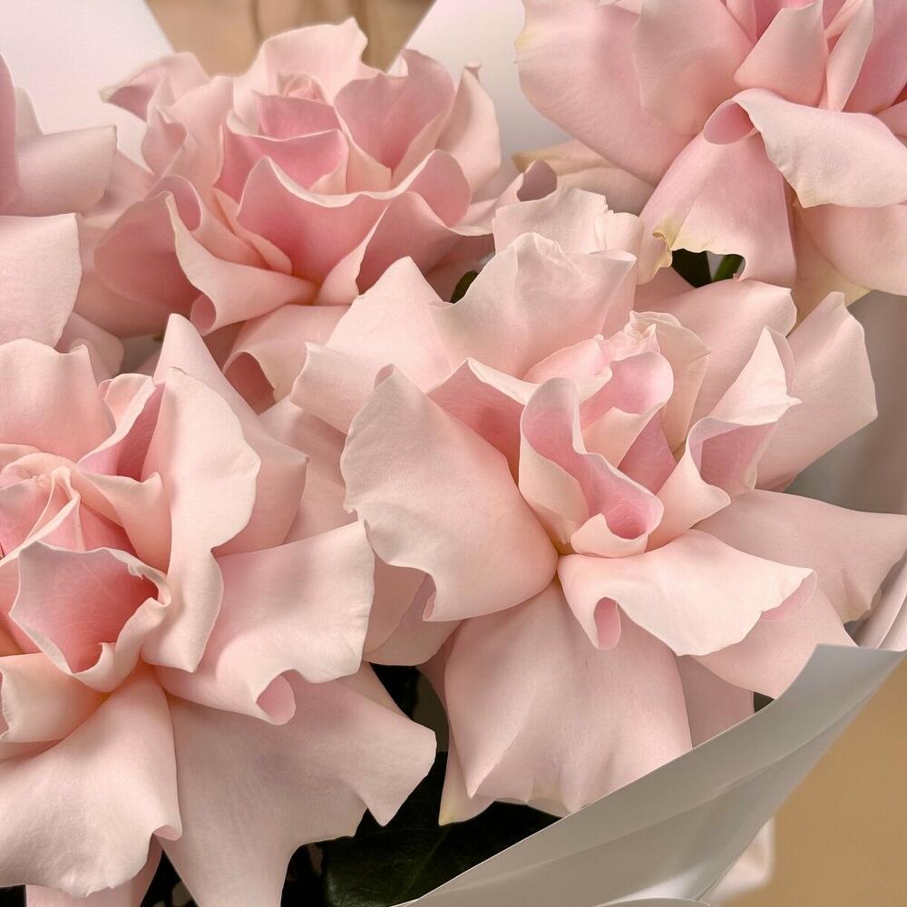 Букет из французских роз Pink Mondial
