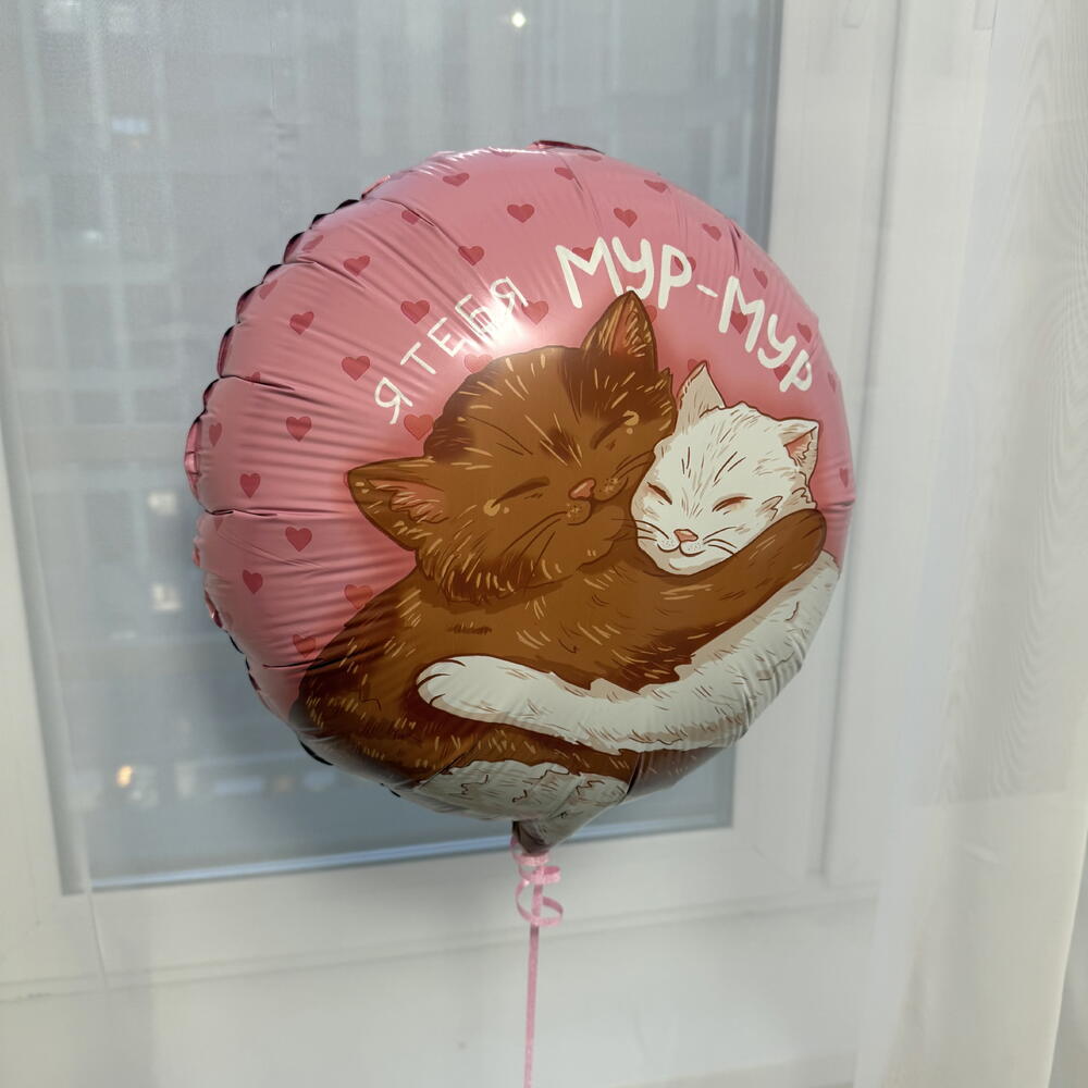Воздушный шар «Котики Мур-Мур»