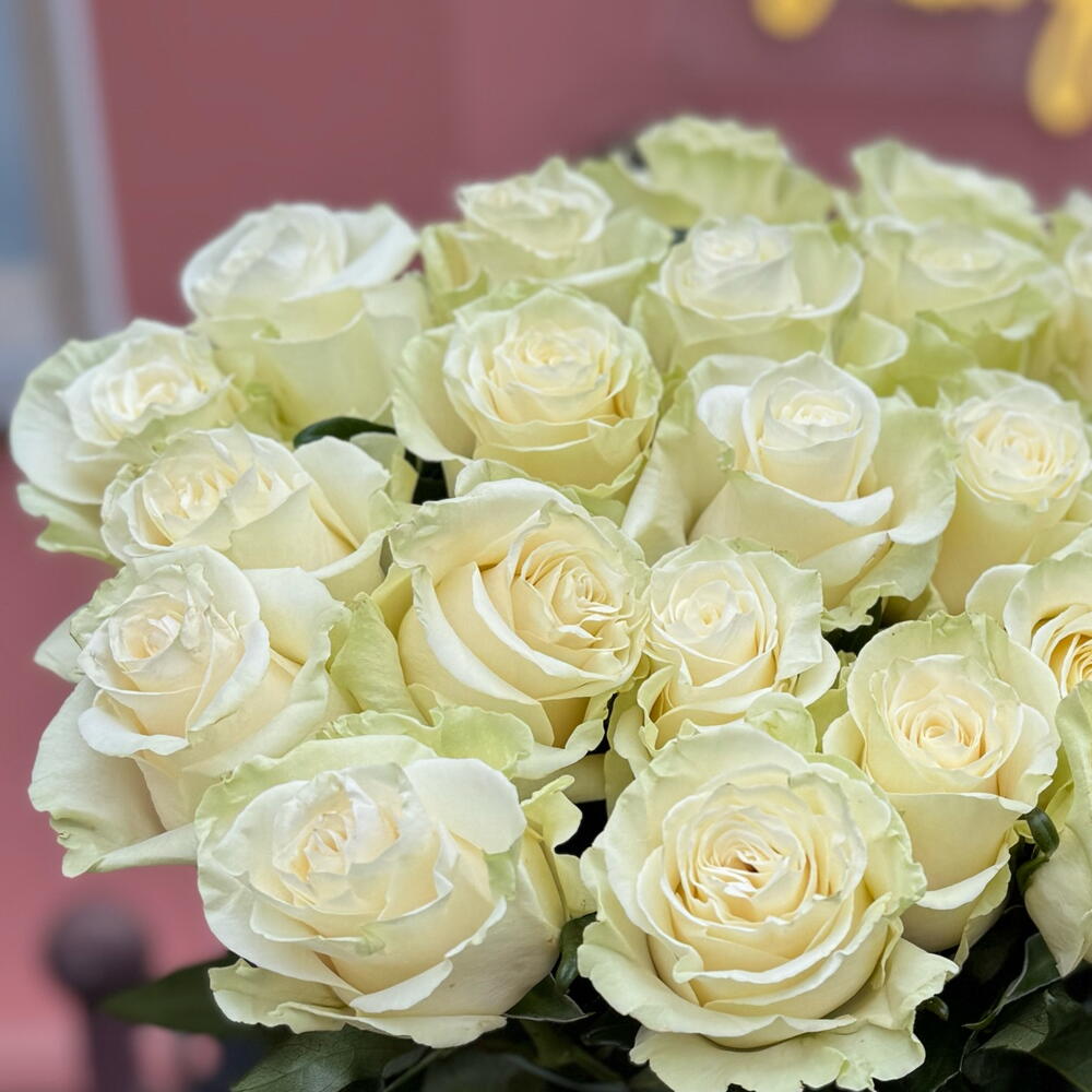 25 Эквадорских роз Мондиаль
