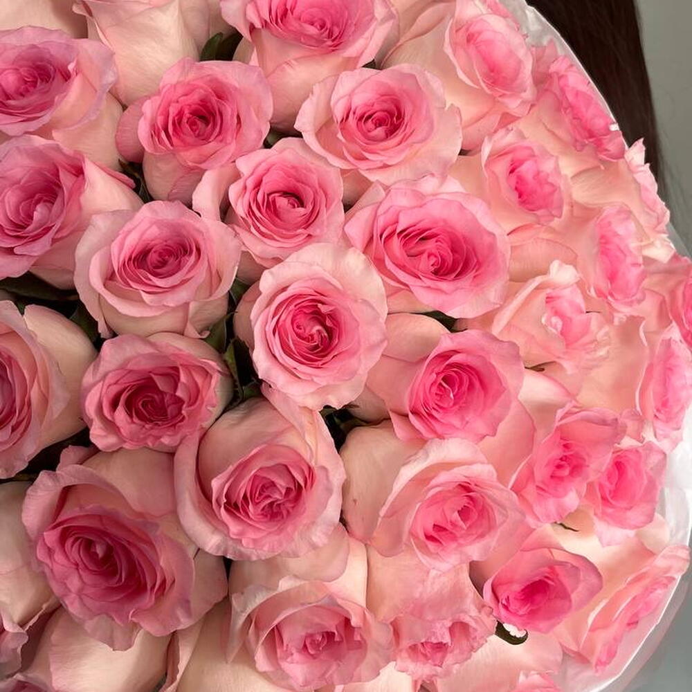 Пламя нежности 🌸💕 шикарный букет из 49 роз
